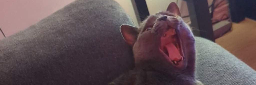 willlushh's profile banner image