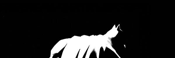 phestopk's profile banner image
