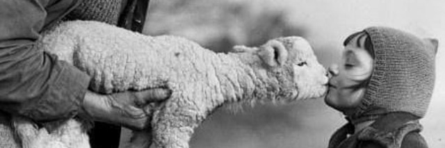 tuubik_'s profile banner image
