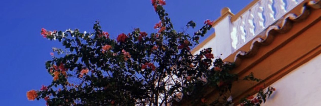 _borgesnathy's profile banner image