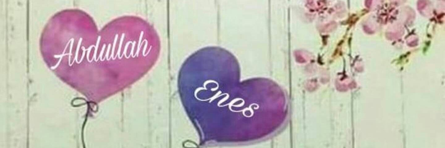 DilekAltay8's profile banner image