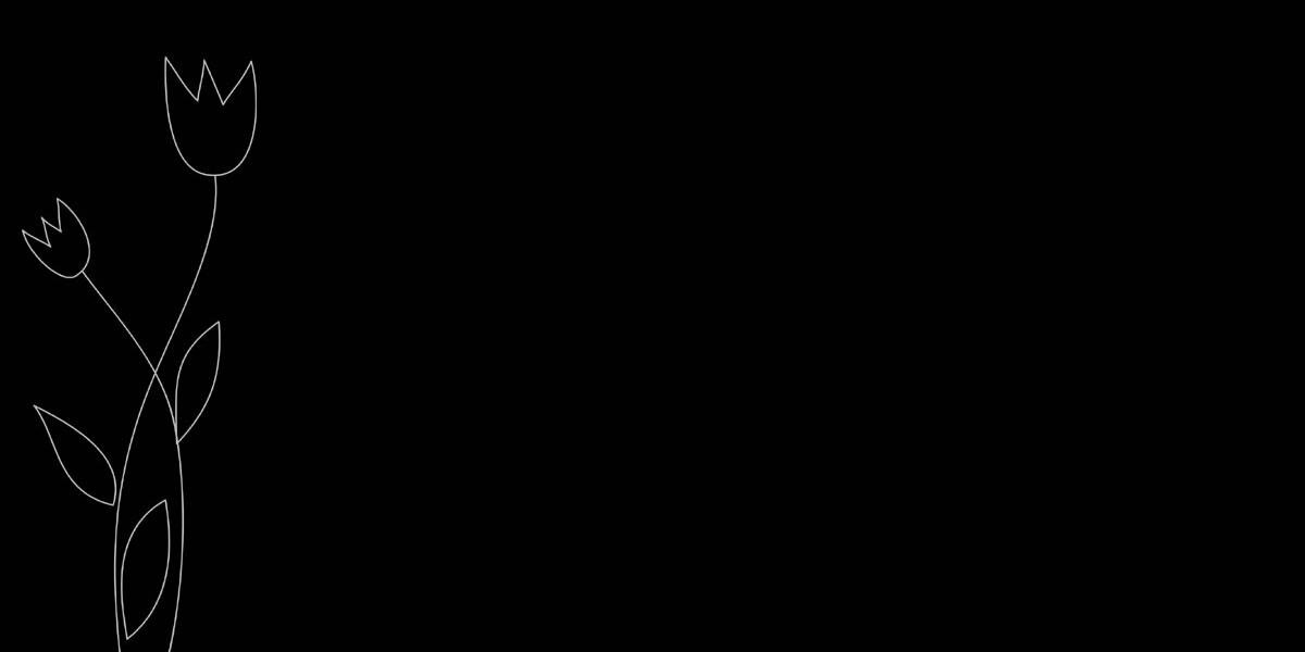 OsmarSamillan's profile banner image