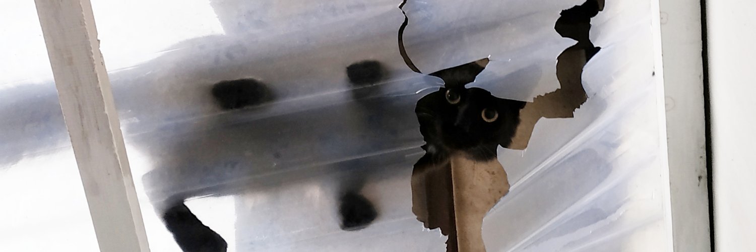 asriliviar's profile banner image