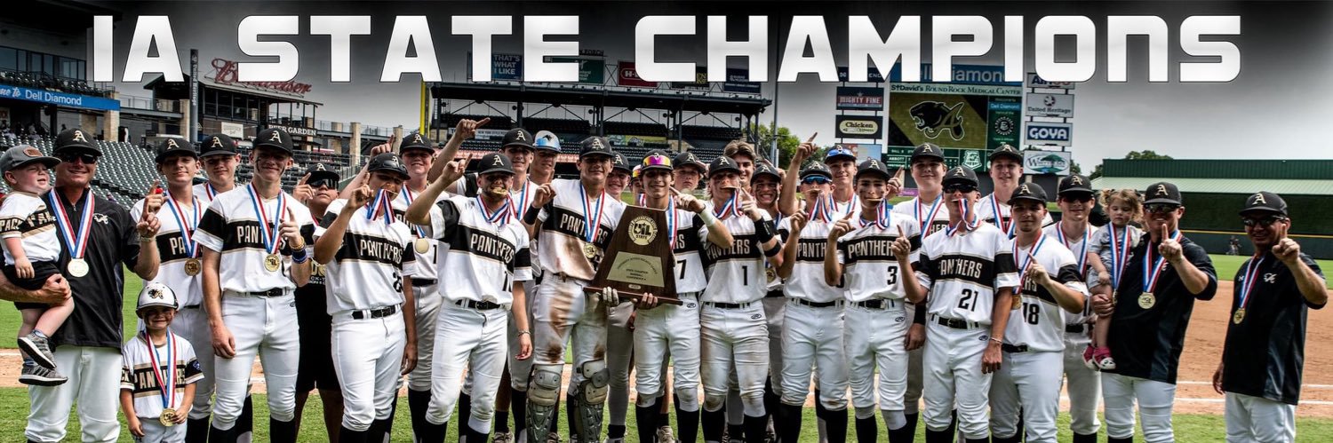 Panther Baseball banner