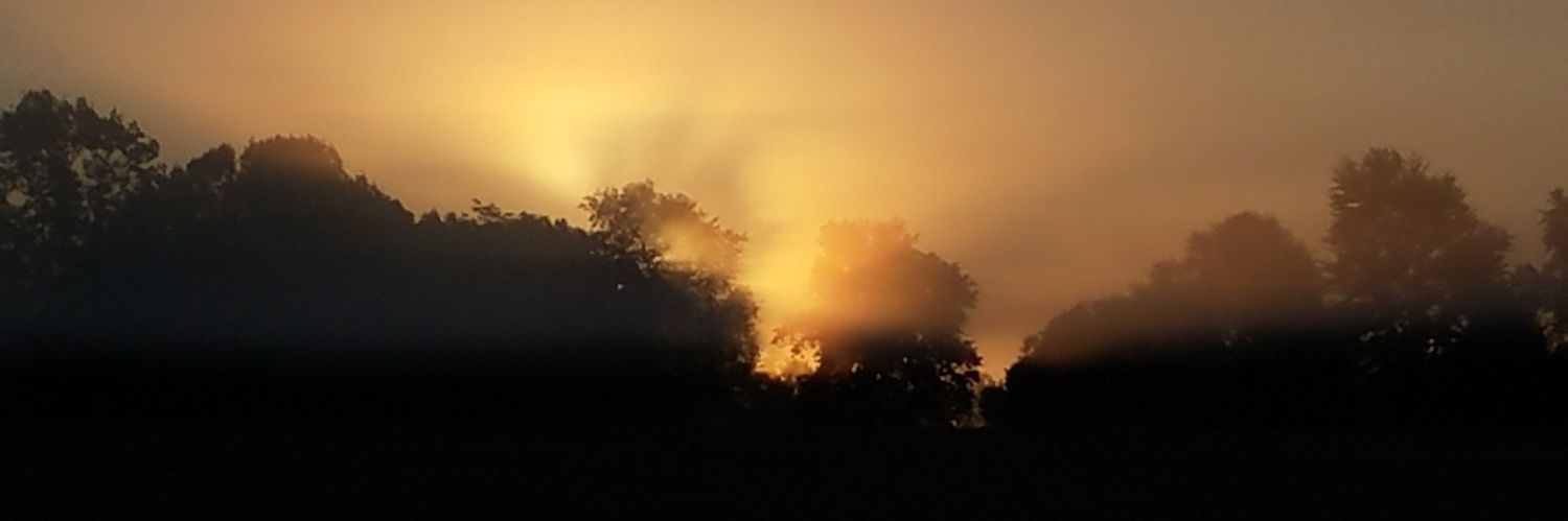 RTIKristof's profile banner image