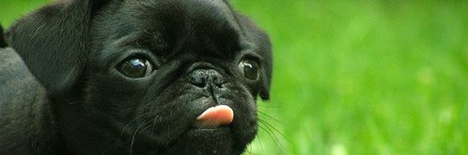 ohthatstori's profile banner image