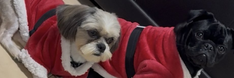 Aℓƒσηѕσ      Oℓινєяα banner