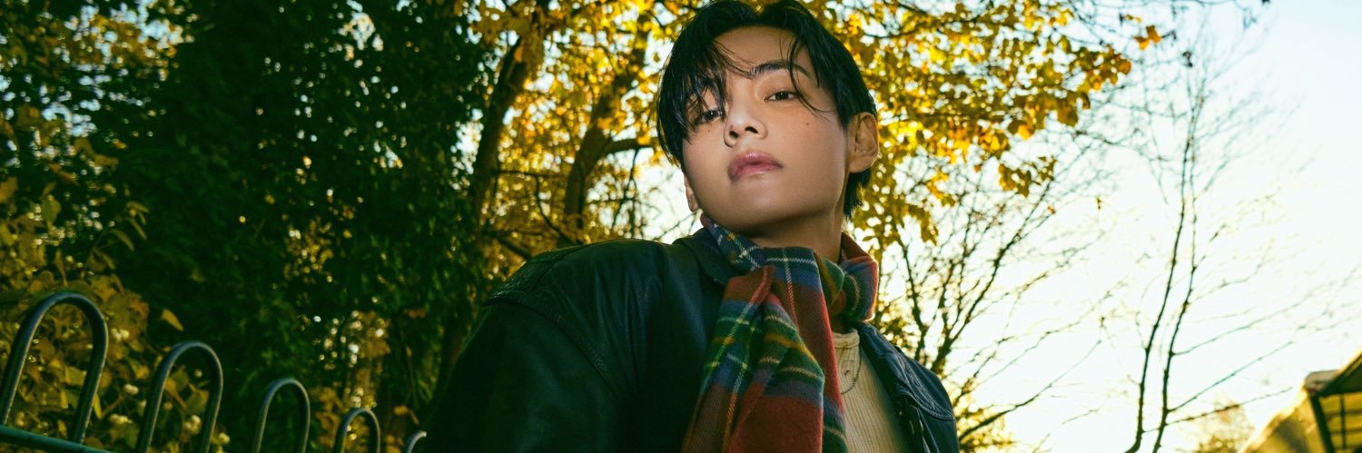 BabyBear137's profile banner image