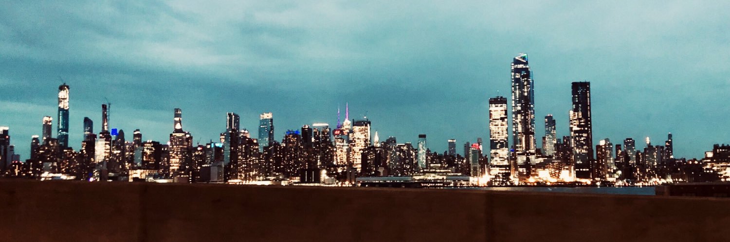 alyssavidulich's profile banner image