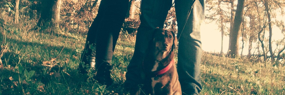 JaniceHendrick's profile banner image