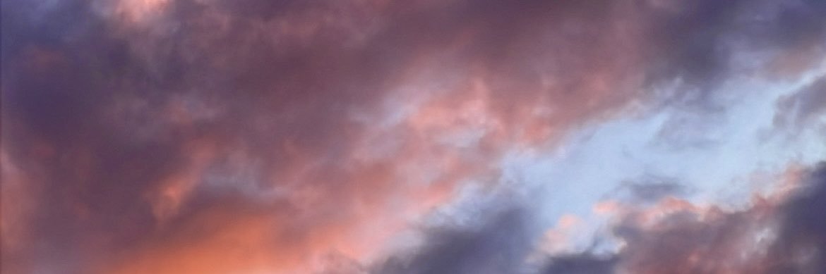 s_491913's profile banner image