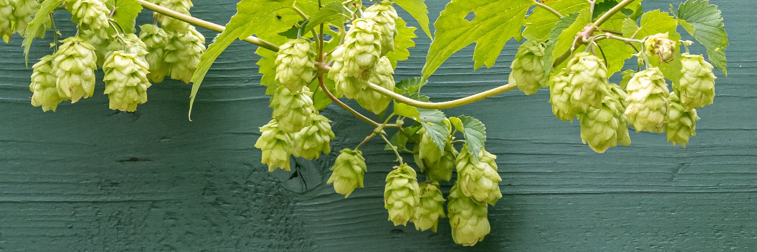 Bristol Hops Collective banner