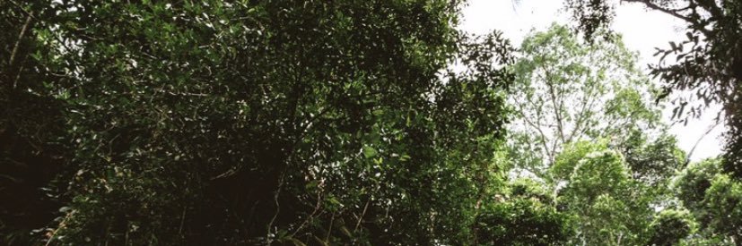 Niks_0's profile banner image