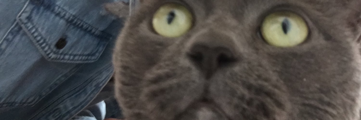 bae_campbell's profile banner image
