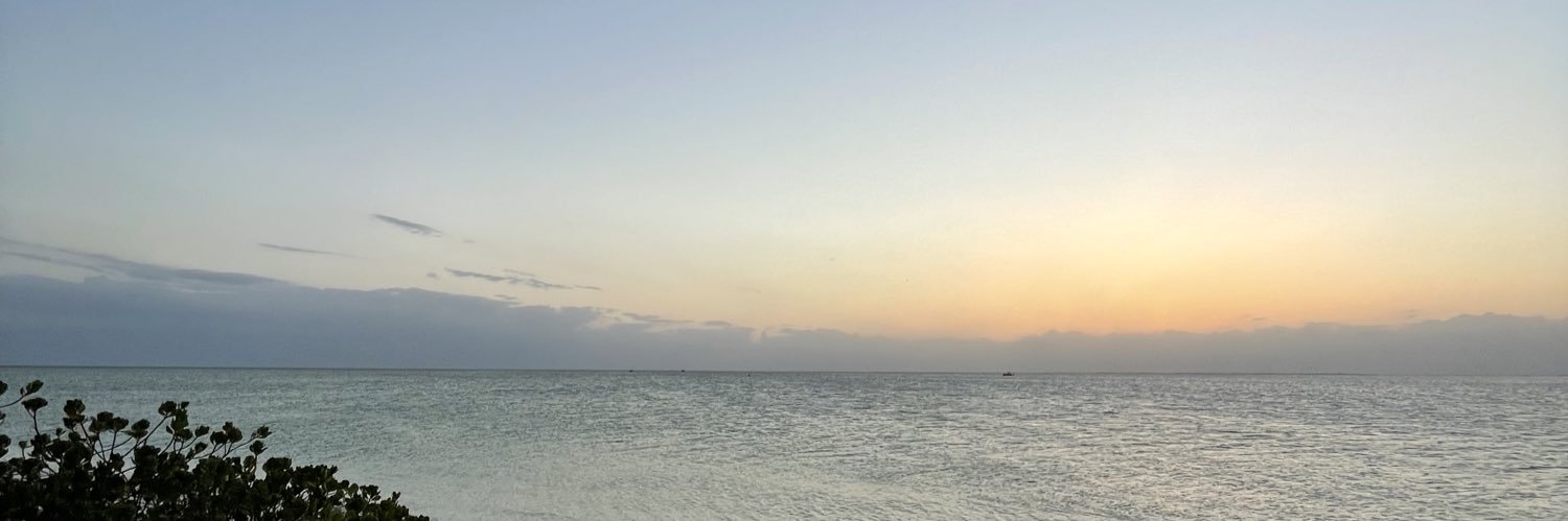 MadisonEHill_'s profile banner image
