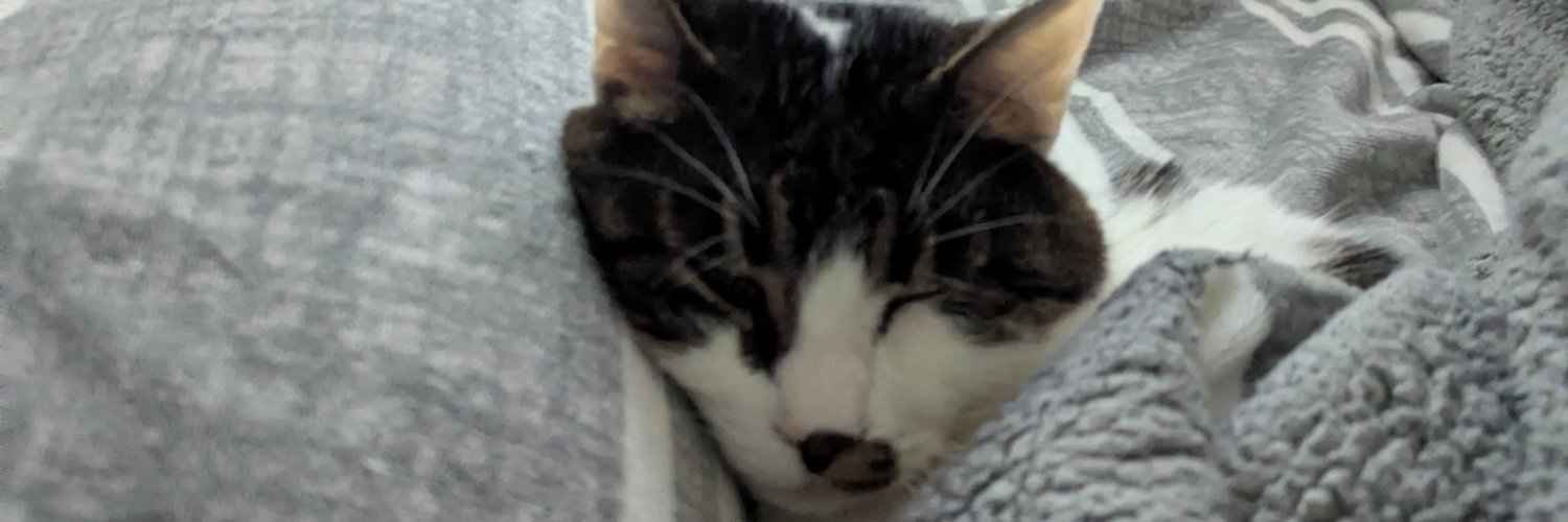 ParisiteDemon's profile banner image