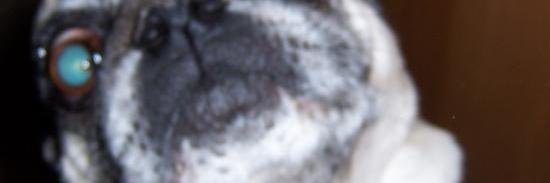 ramdadi's profile banner image