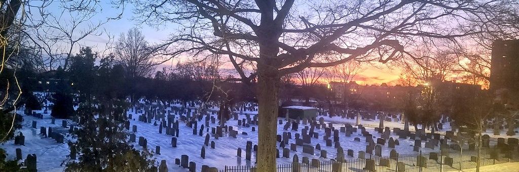 𝘎𝘦𝘯𝘦𝘴𝘪𝘴𝘙𝘛𝘈 banner