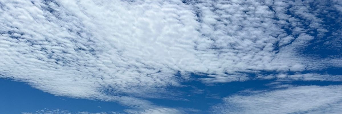 Eu banner