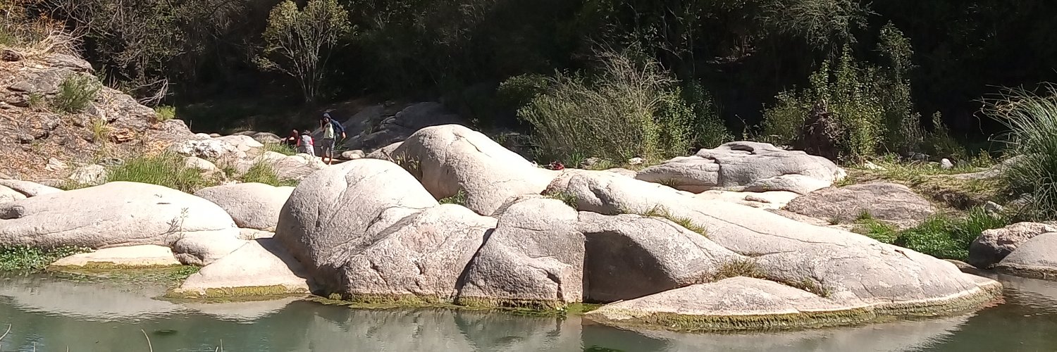 sofiitavella's profile banner image