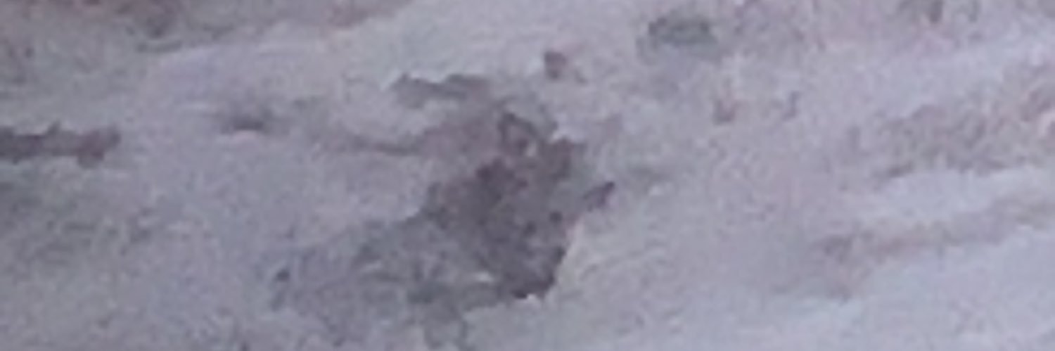 pittslj29's profile banner image