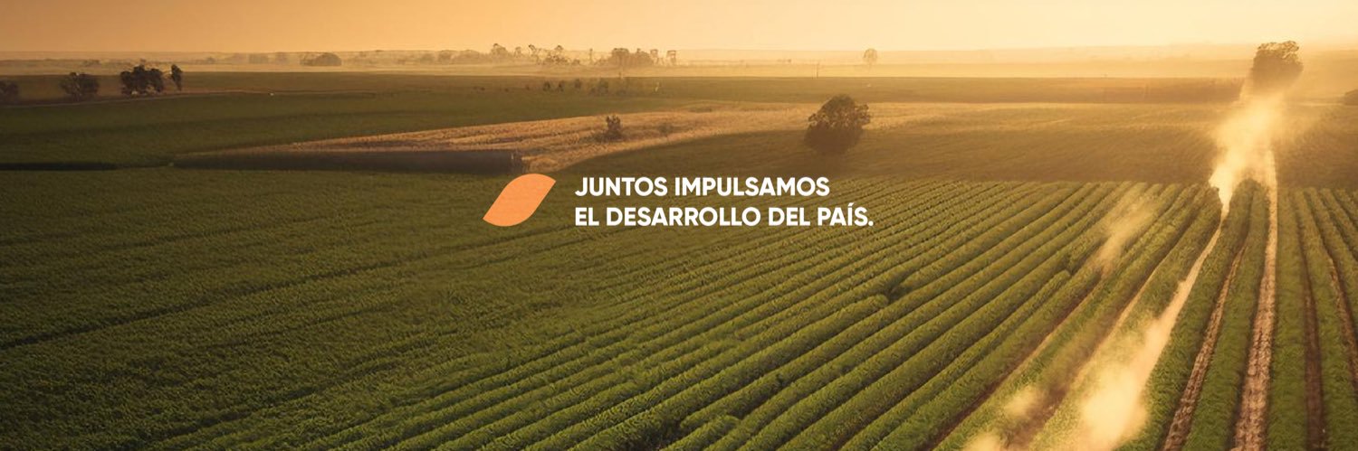 Bandex banner