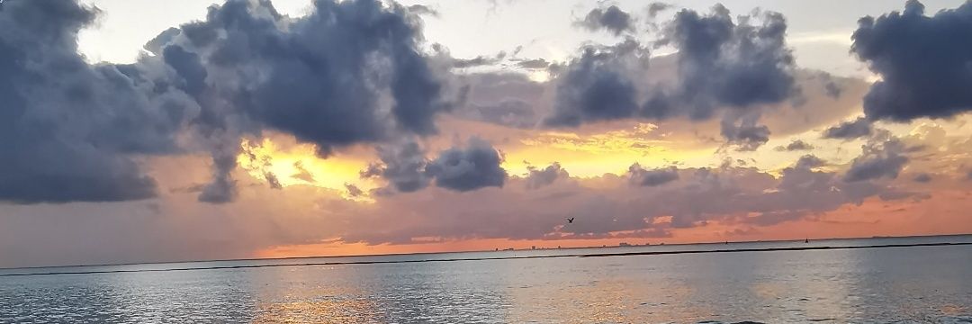lesdru's profile banner image