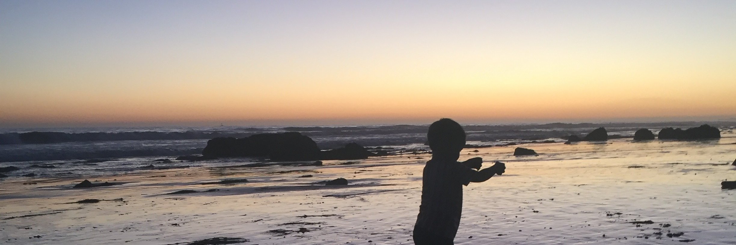 aliolsen's profile banner image