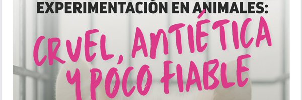 eduardopenha Profile Banner