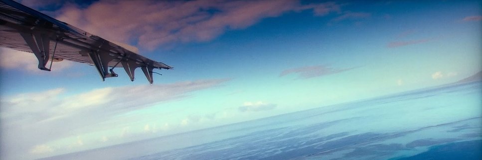 🔻🌱🌼💐🌸🌷🌼🌱🔻 banner