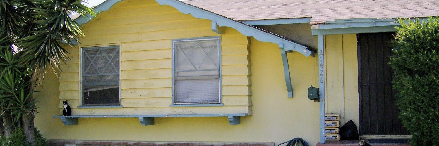 Lee Suarez banner