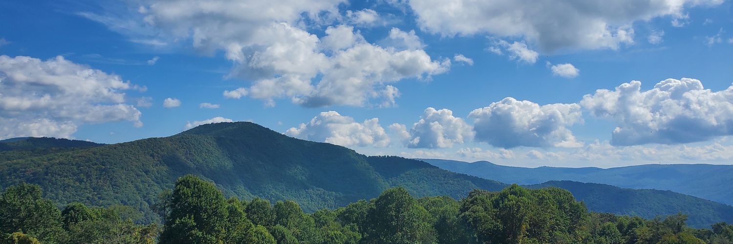camerenisonfire's profile banner image