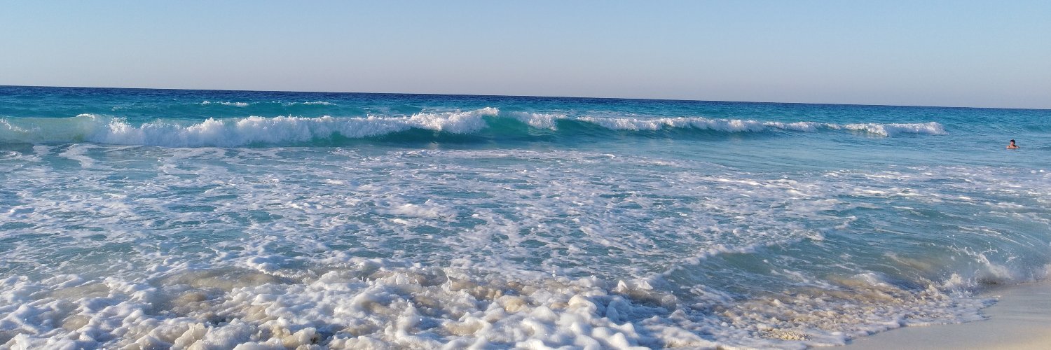 Mema_Asfour's profile banner image