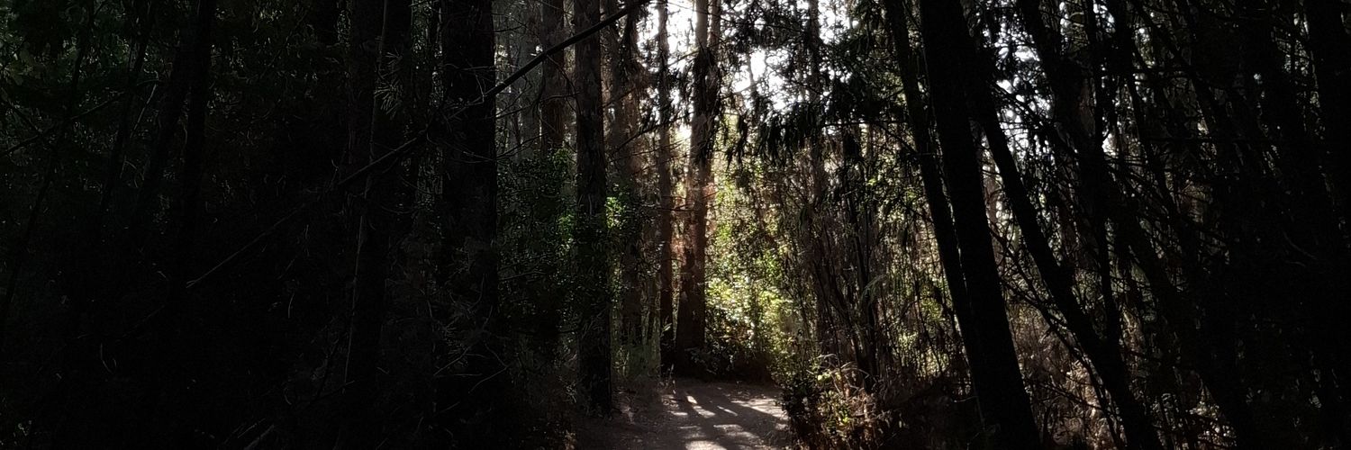 Moorten_'s profile banner image