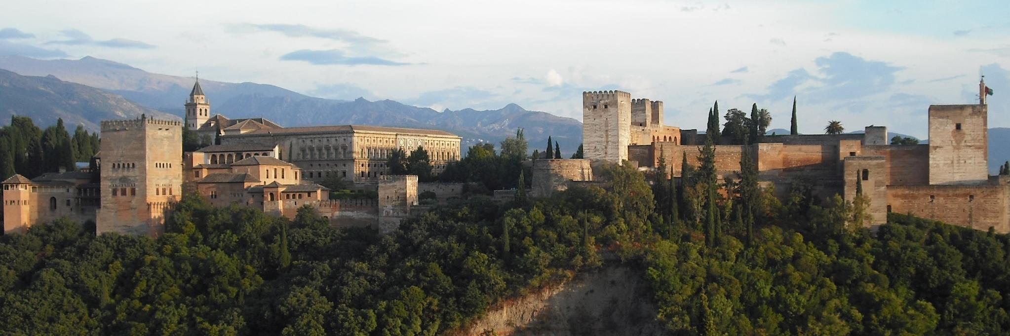 Antonio Fernández banner