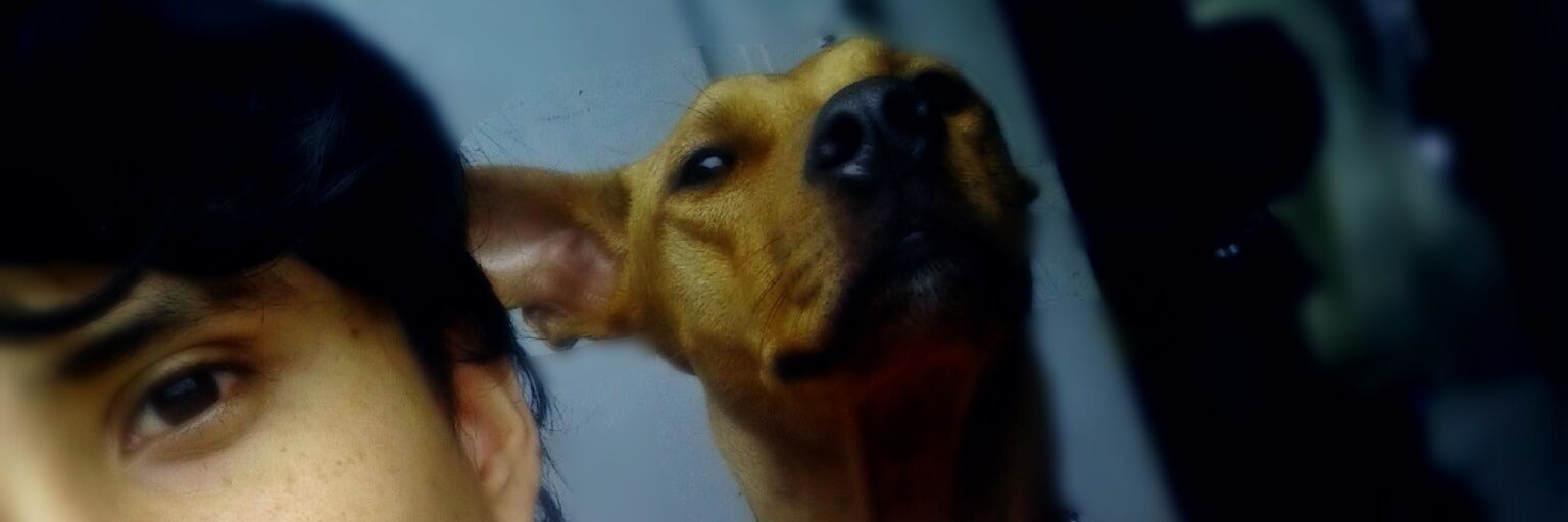 i_anedca's profile banner image
