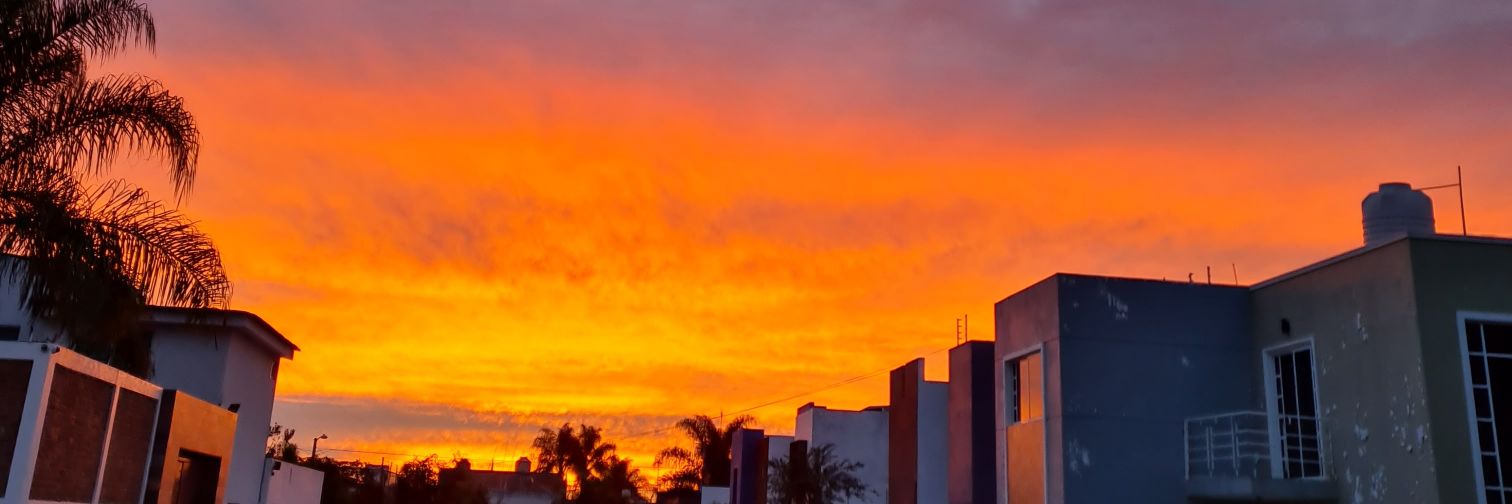 NavarroMaFer's profile banner image
