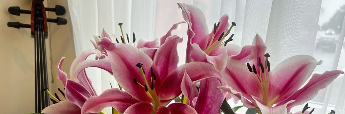 ighadaA's profile banner image