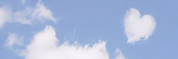 Rover. banner