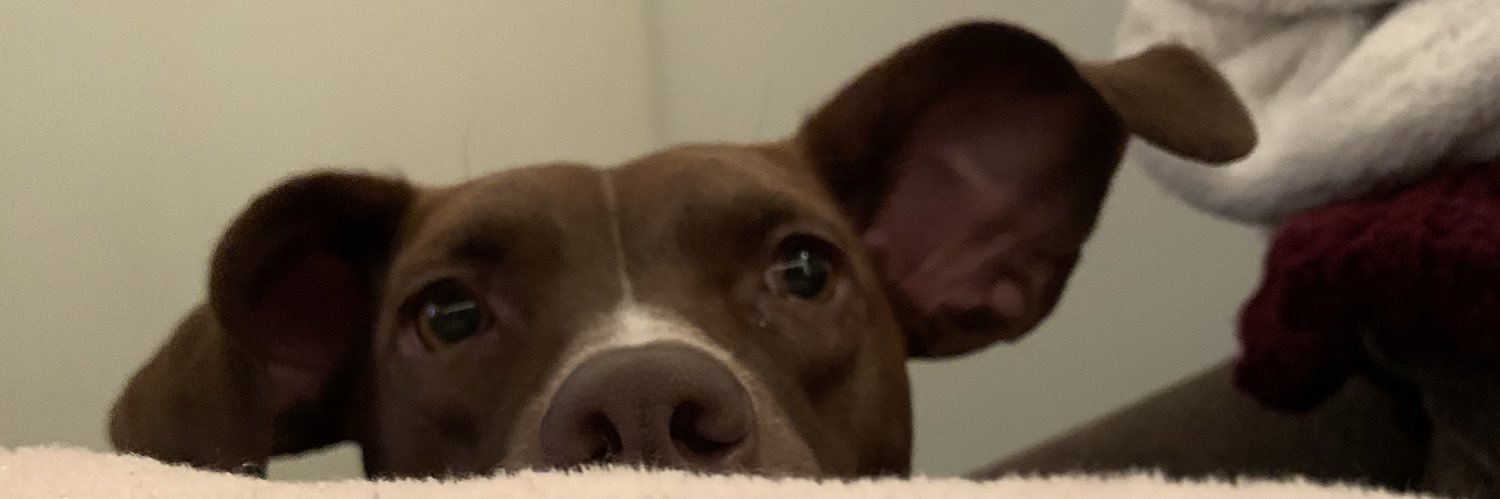 reedvis24's profile banner image