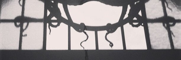 Noam Assayag banner