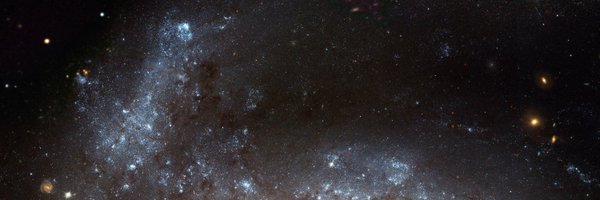 adolfo_ae Profile Banner