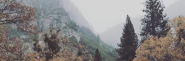nfperron Profile Banner
