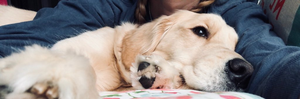 lex_1293's profile banner image