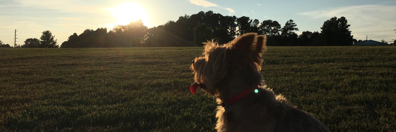 alanorosco's profile banner image