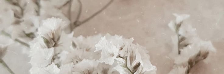 JayFan88's profile banner image