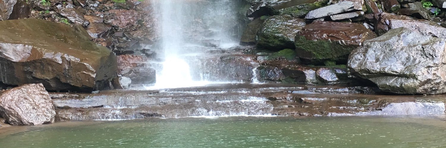 Tania Willman banner