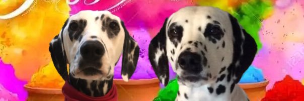 Molly & Tessa The Fire Dogs 🇨🇦 banner