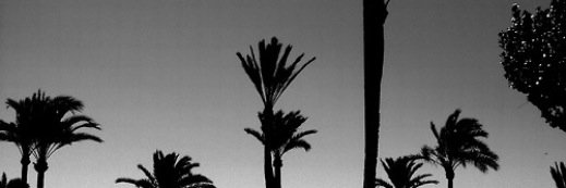 isabelle_otto's profile banner image