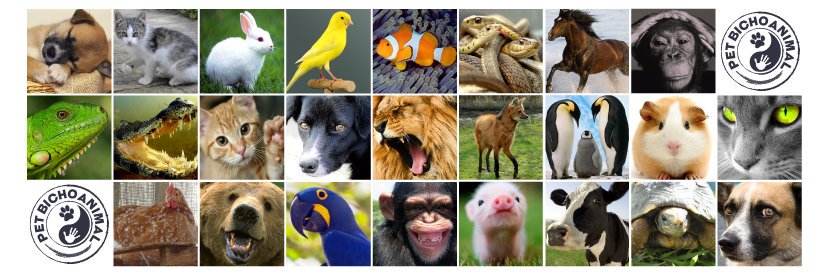 PetBichoAnimal's profile banner image